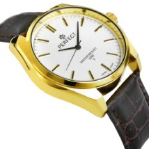 Zegarek Męski PERFECT C081-3