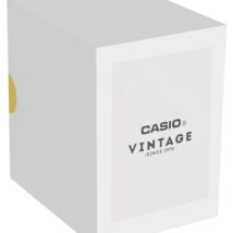 Zegarek Męski CASIO AQ-230A-1DMQYES