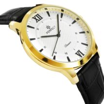 Zegarek Męski PERFECT C460-6