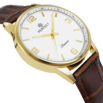 Zegarek Męski PERFECT C457-6