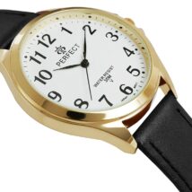 Zegarek Męski PERFECT GX412-11