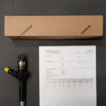 Wtryskiwacz Nissan X-Trail 2.2 dCi – 16600-ES60A