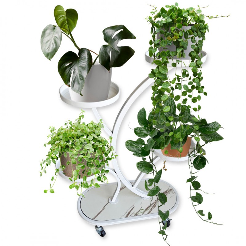 Kwietnik, regał, stojak na kwiaty metalowy na kółkach 50x 25x 80cm SZ43B - obrazek 5