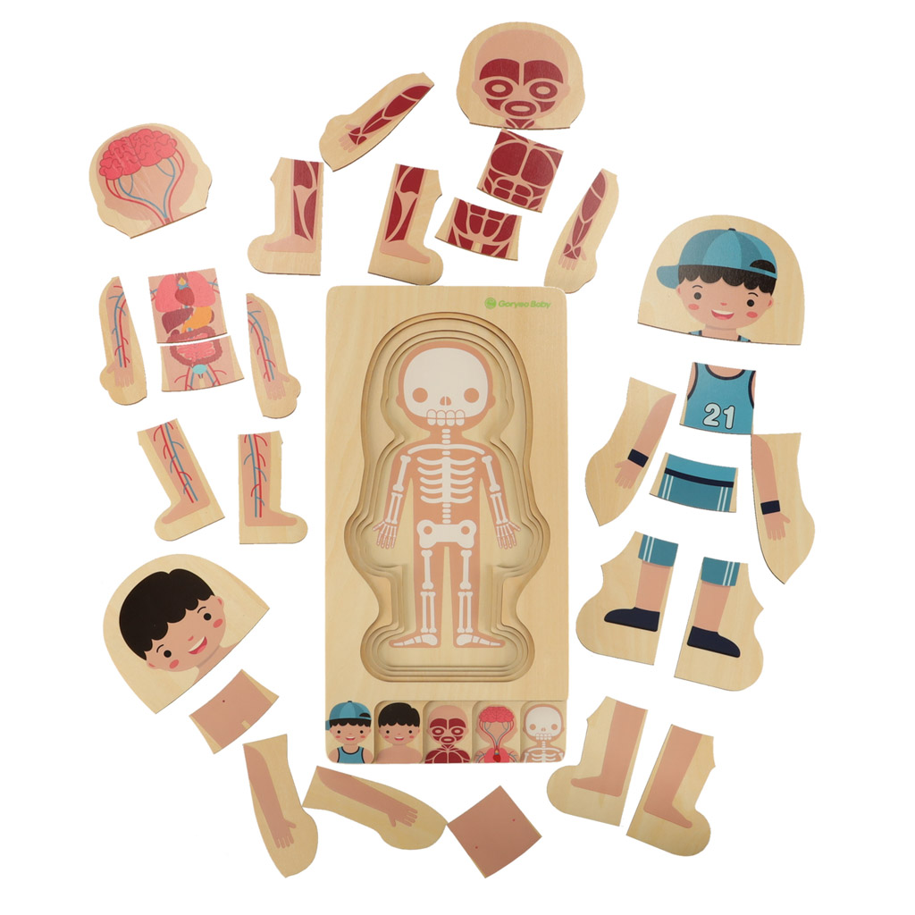 Puzzle drewniane warstwowe budowa ciała montessori chłopiec - obrazek 4