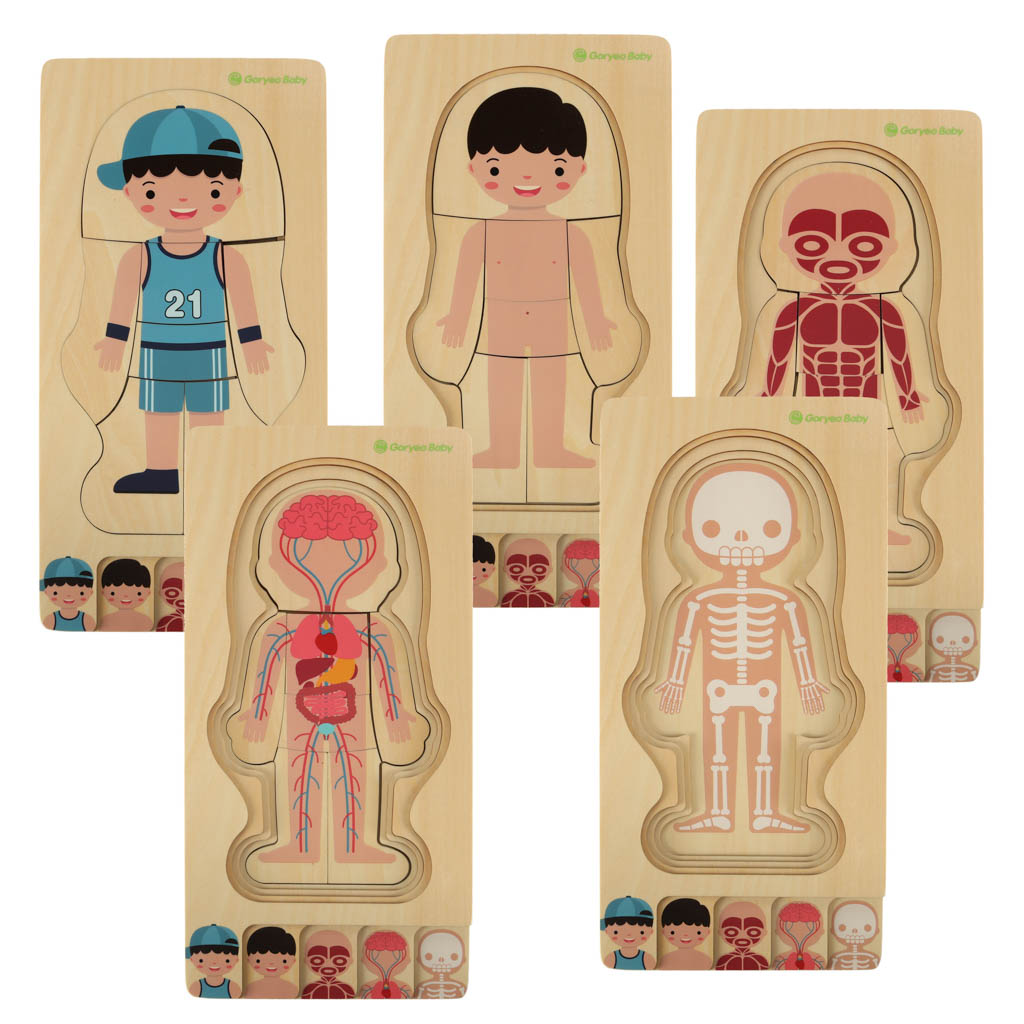 Puzzle drewniane warstwowe budowa ciała montessori chłopiec - obrazek 5