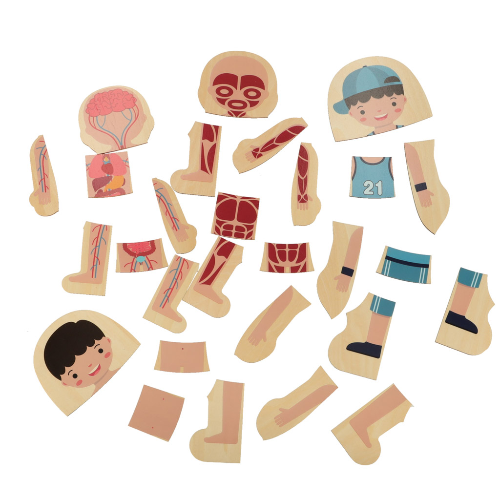 Puzzle drewniane warstwowe budowa ciała montessori chłopiec - obrazek 6