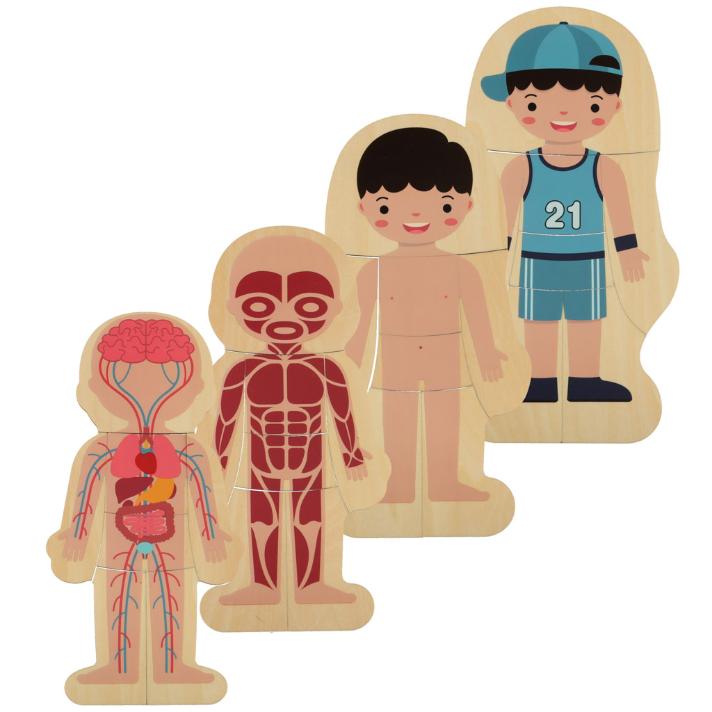 Puzzle drewniane warstwowe budowa ciała montessori chłopiec - obrazek 7