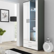 Witryna SOHO S6 2D2S szary/ biały połysk