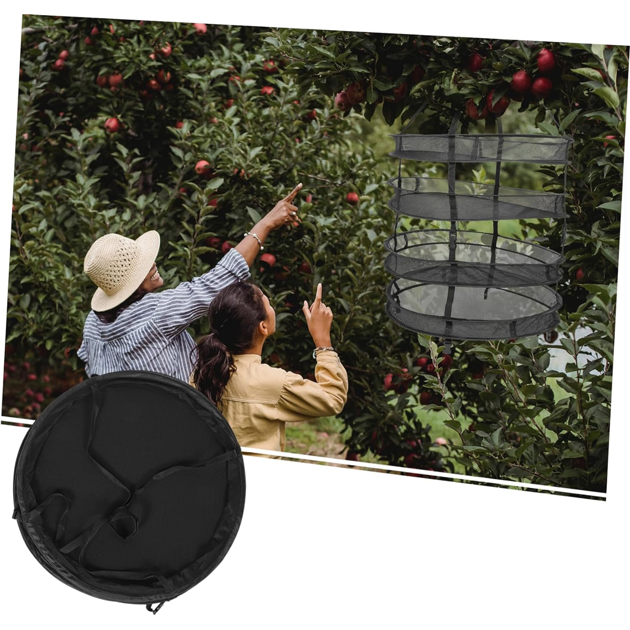 Siatka Suszarka Suszarnia do Grzybów Ziół Warzyw Roślin 4 Półki Regulowana - obrazek 7