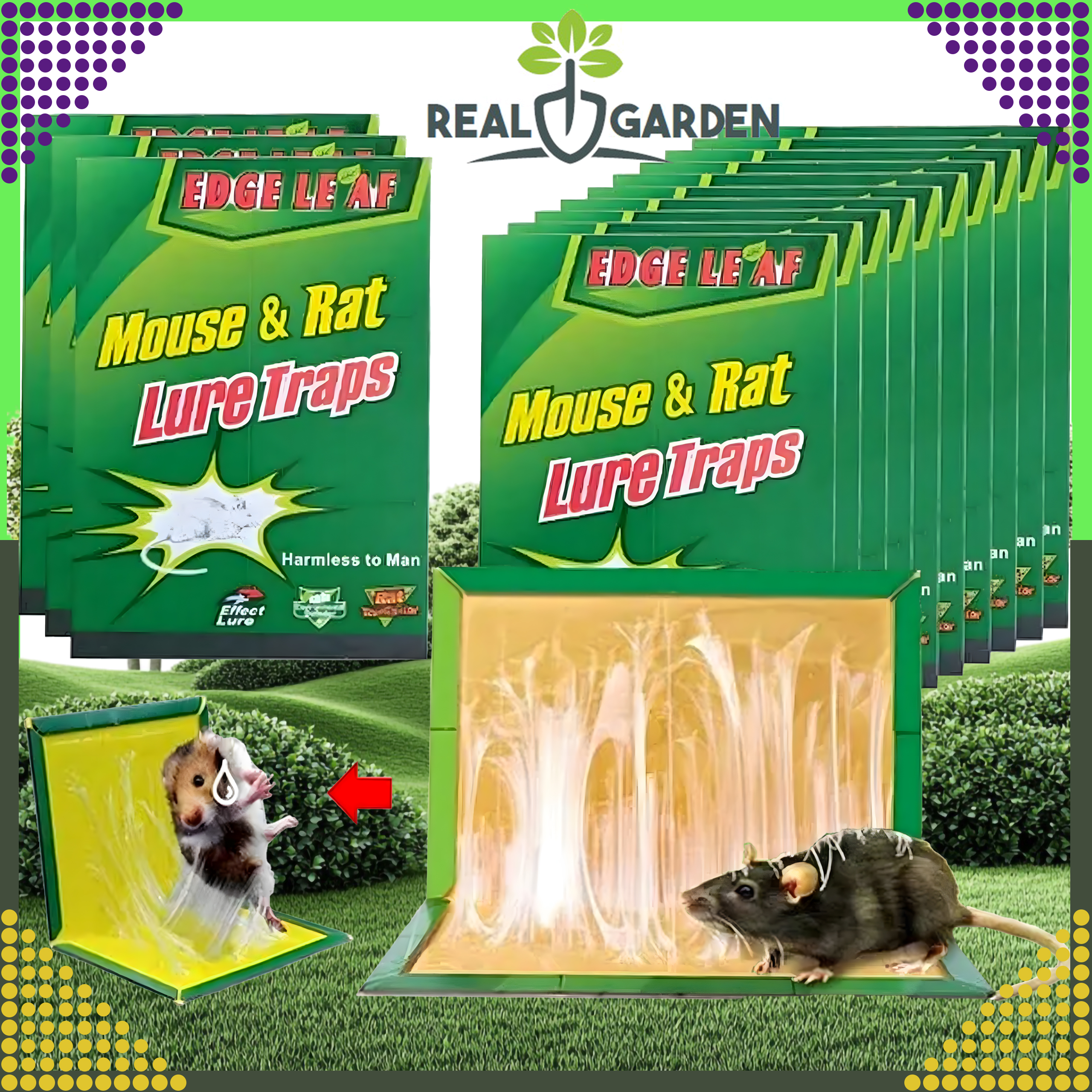 Karton 200 szt. Pułapka Myszołapka na Myszy Szczury Silny Klej Mocna Łapka Zapachowa Lep - obrazek 6