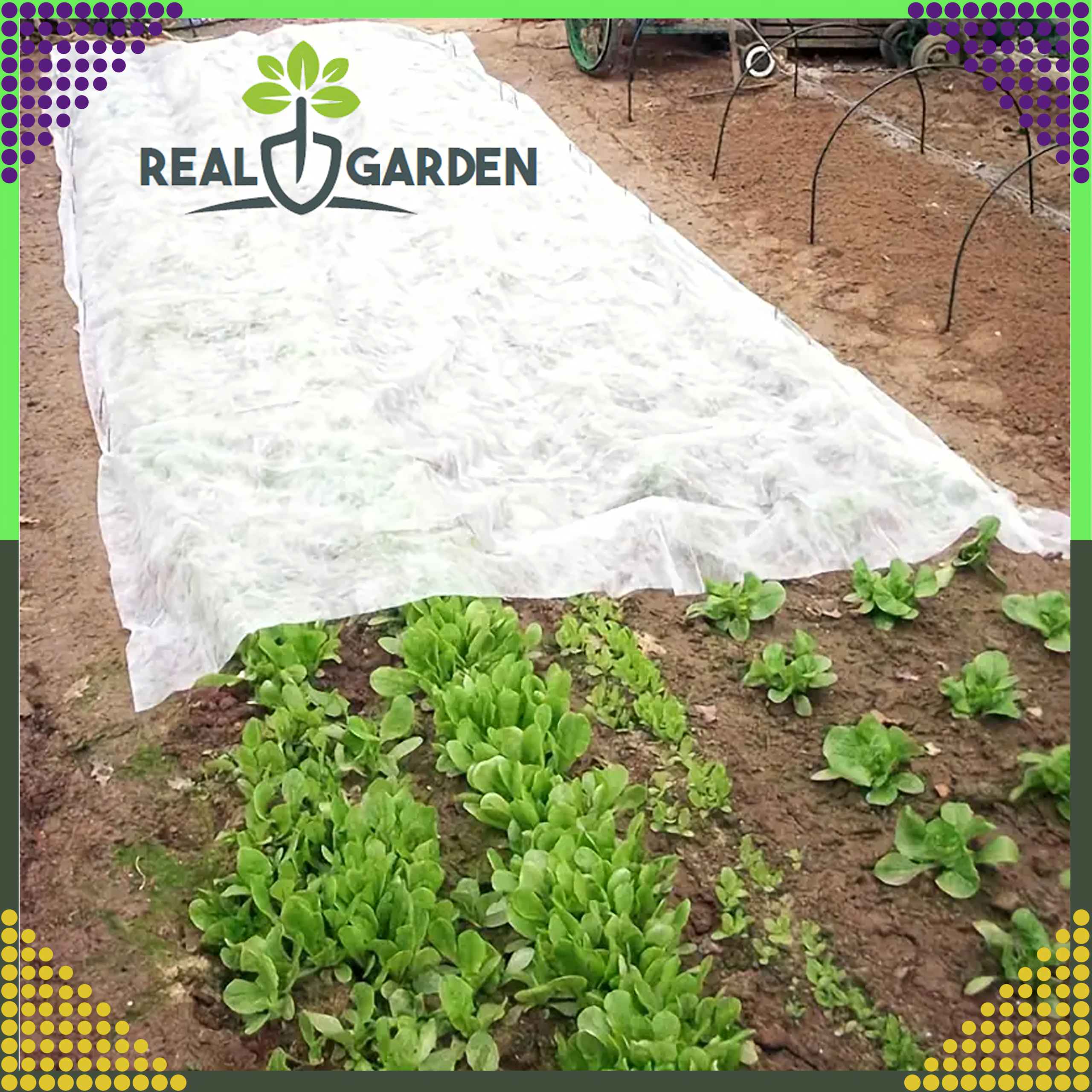 Agrowłóknina Agrotkanina Zimowa Okryciowa 50g 1,6m x 100m Biała Otulina Gruba - obrazek 3