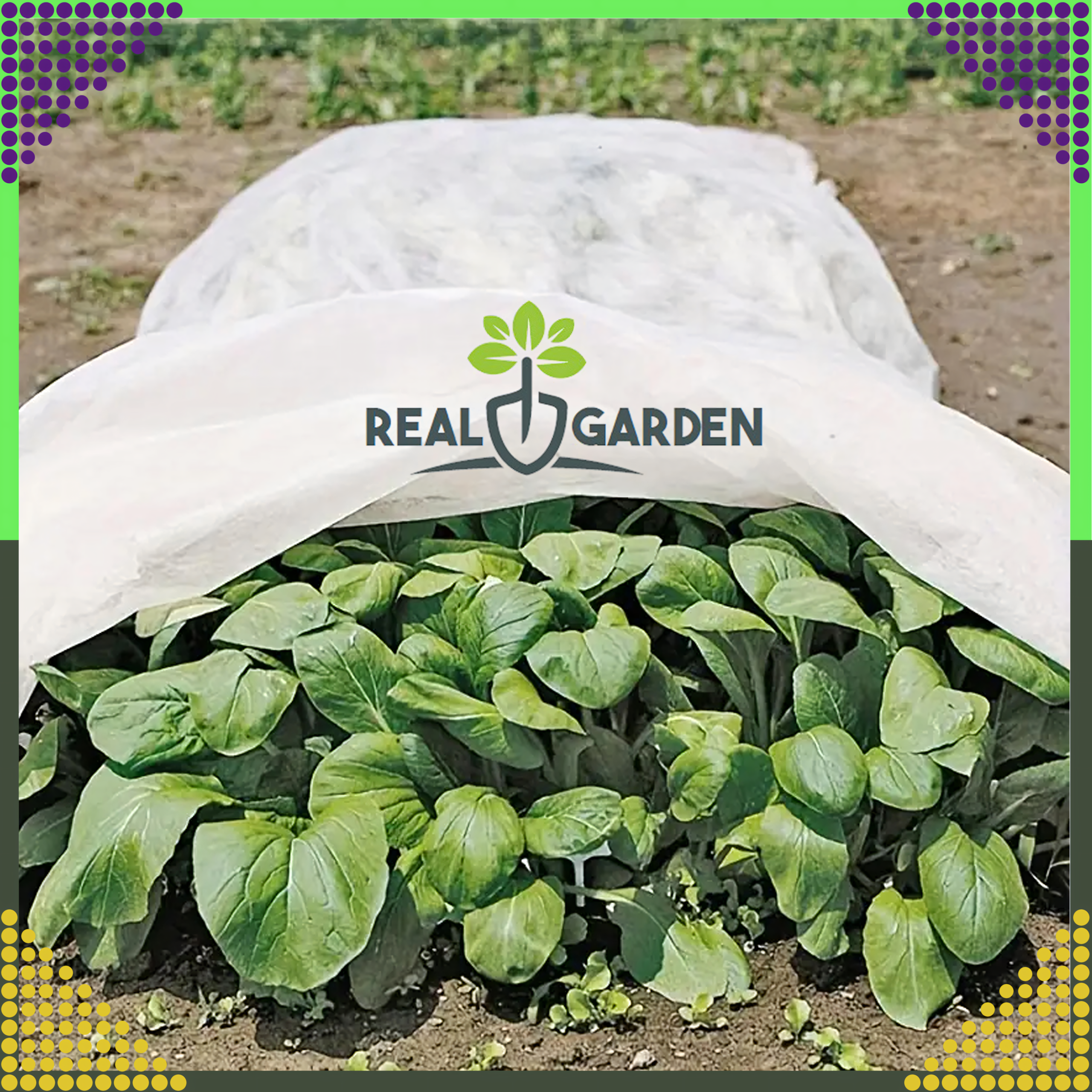 Agrowłóknina Agrotkanina Zimowa Okryciowa 50g 1,6m x 100m Biała Otulina Gruba - obrazek 4