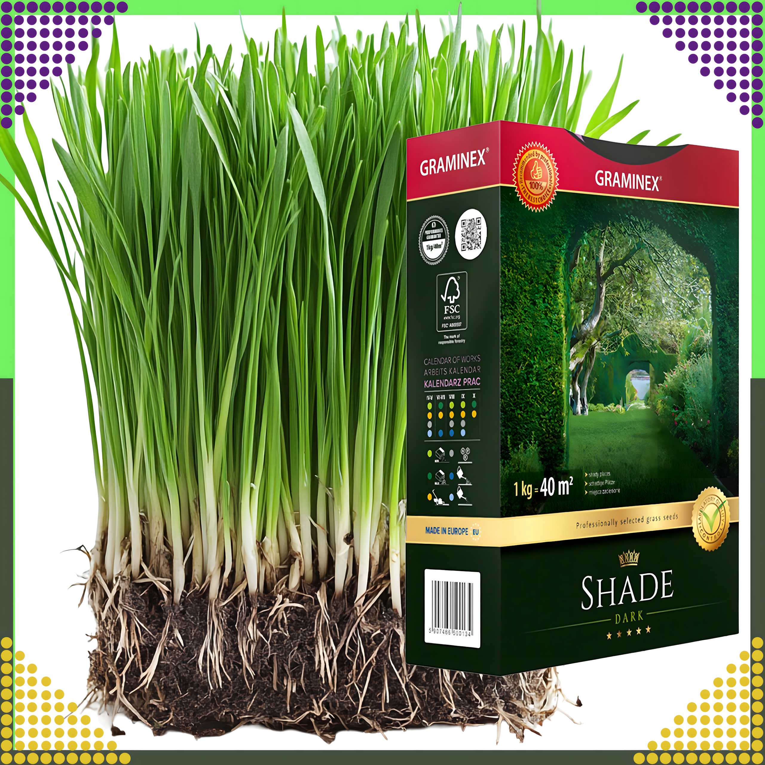 Premium Trawa Nasiona Mieszanka SHADE 1kg 40m Zaciemnione Miejsca do Cienia - obrazek 10