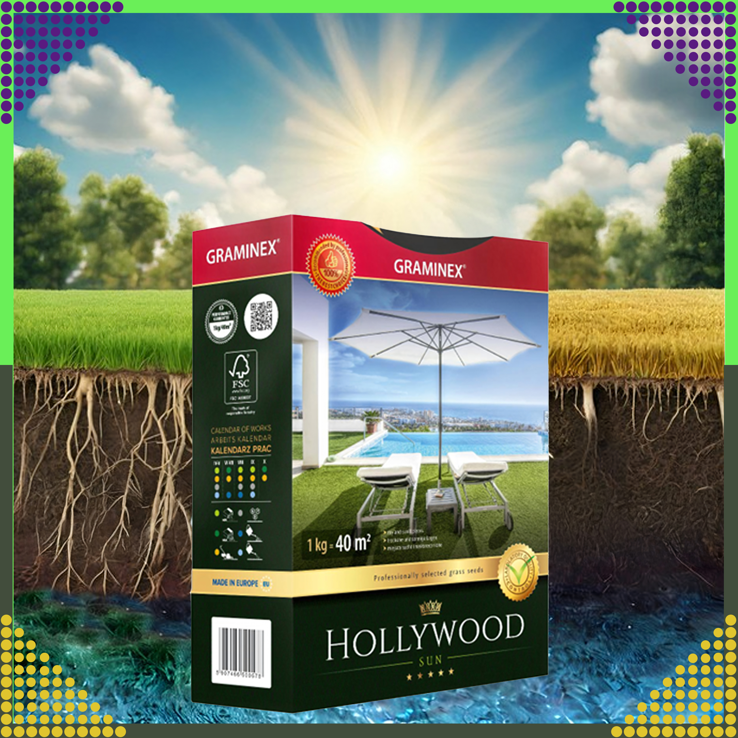 Premium Trawa Nasiona Mieszanka HOLLYWOOD 1kg do Słonecznych Miejsc Suchych - obrazek 3