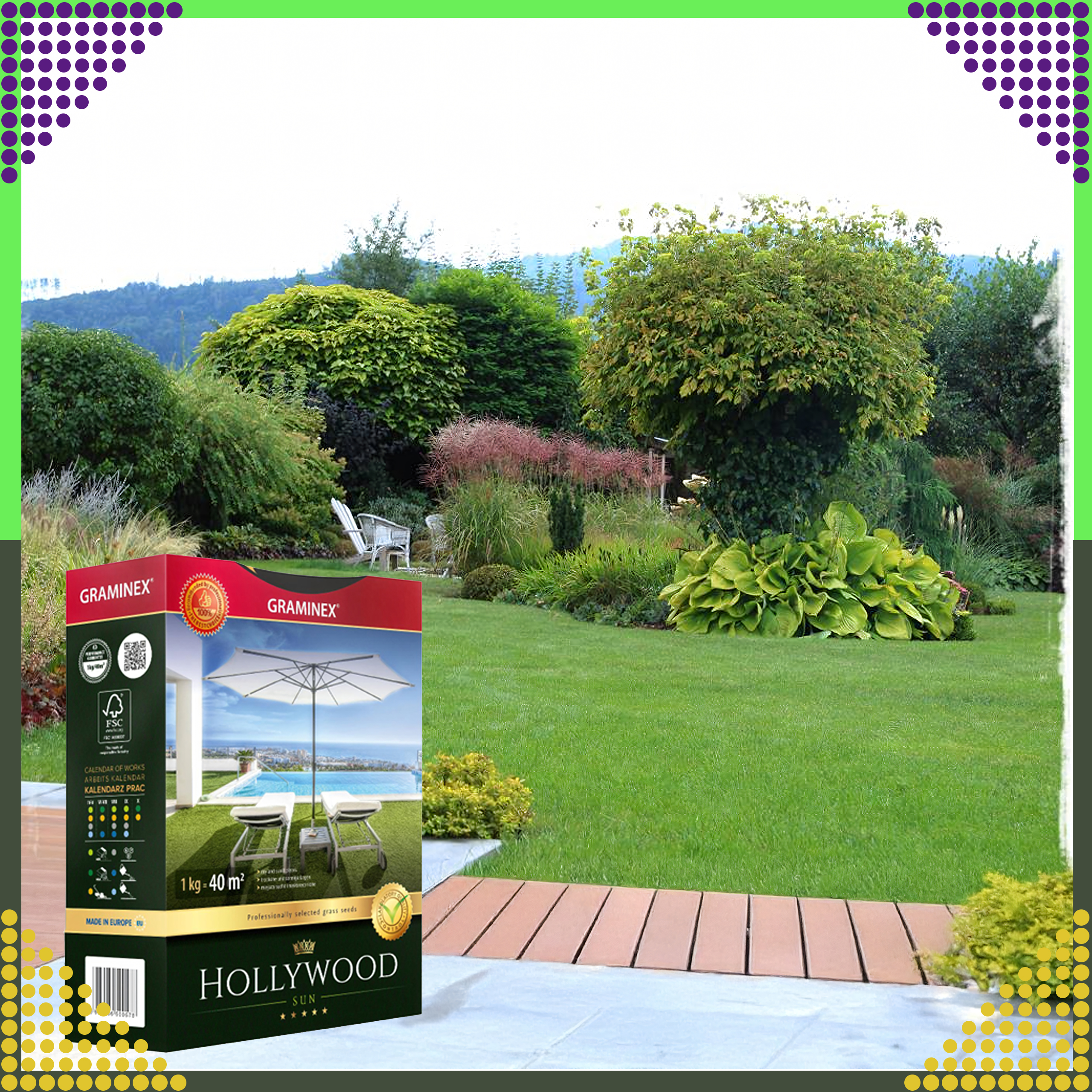 Premium Trawa Nasiona Mieszanka HOLLYWOOD 1kg do Słonecznych Miejsc Suchych - obrazek 6