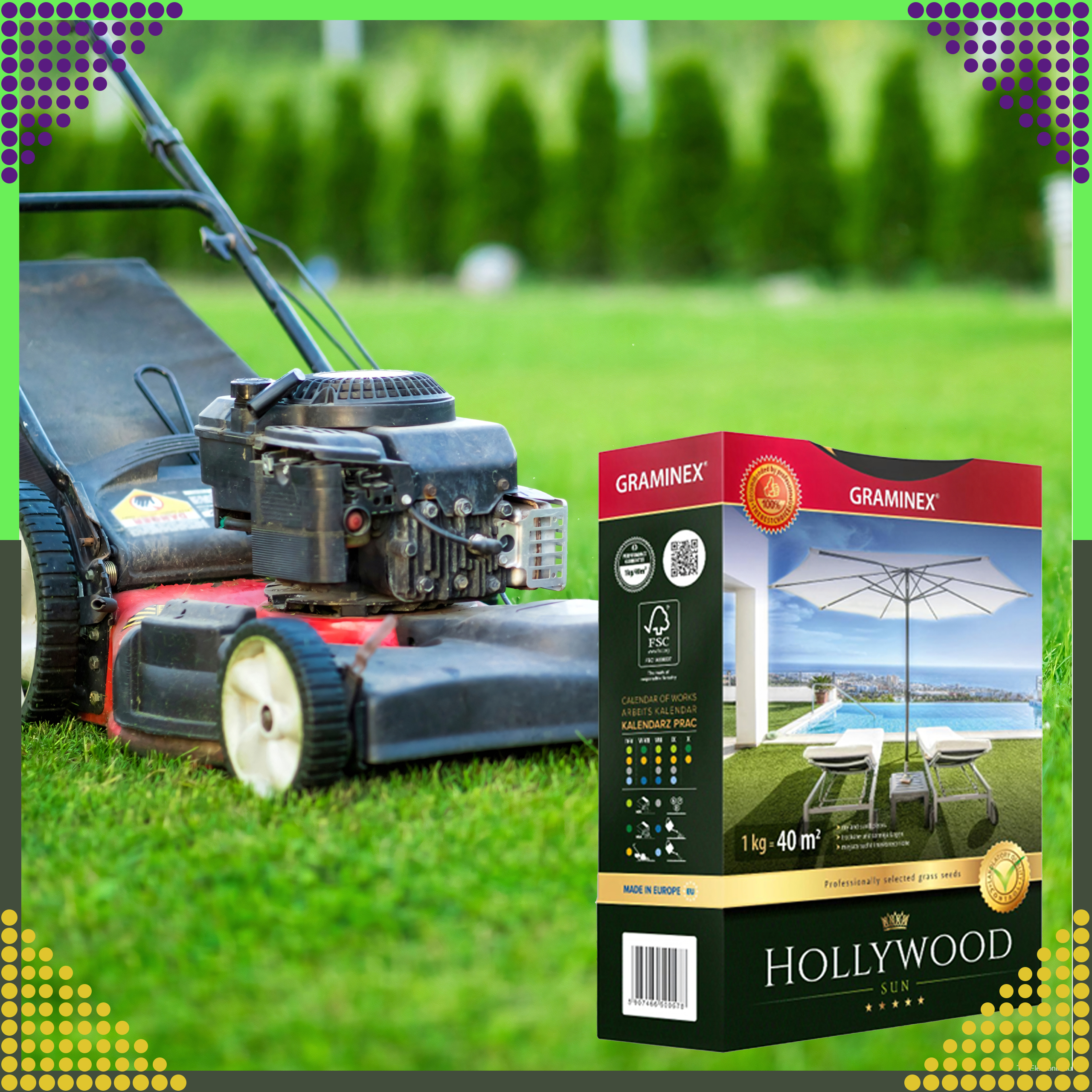 Premium Trawa Nasiona Mieszanka HOLLYWOOD 1kg do Słonecznych Miejsc Suchych - obrazek 9