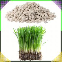 Nawóz do Trawnika Trawy Wieloskładnikowy NPK 20-8-10 Granulat 10 kg 500 m