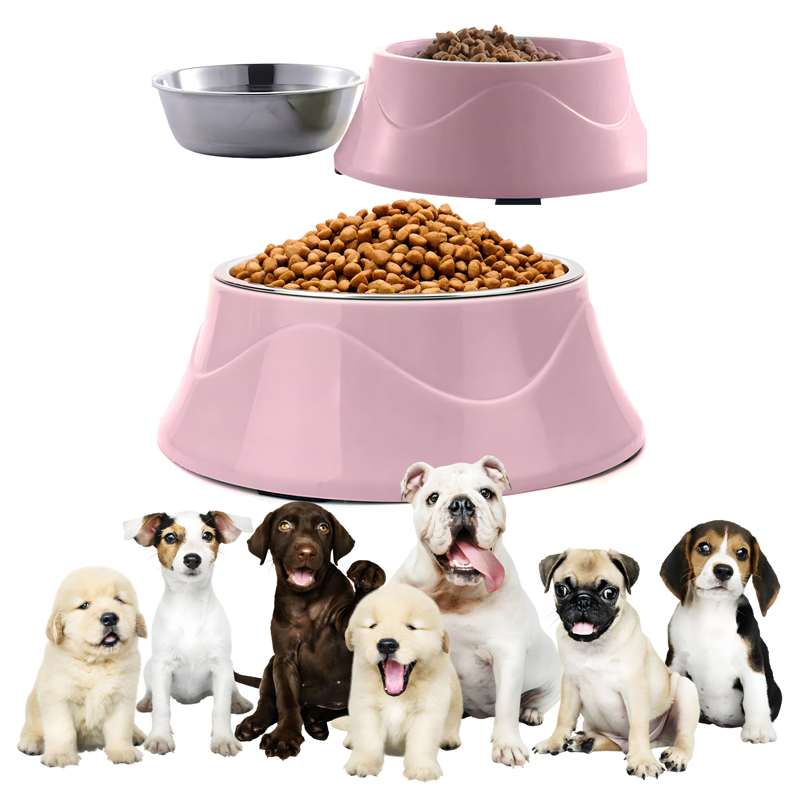 Podwójna Miska dla Psa Kota Metalowa 2w1 na Karmę Suchą Mokrą i Wodę