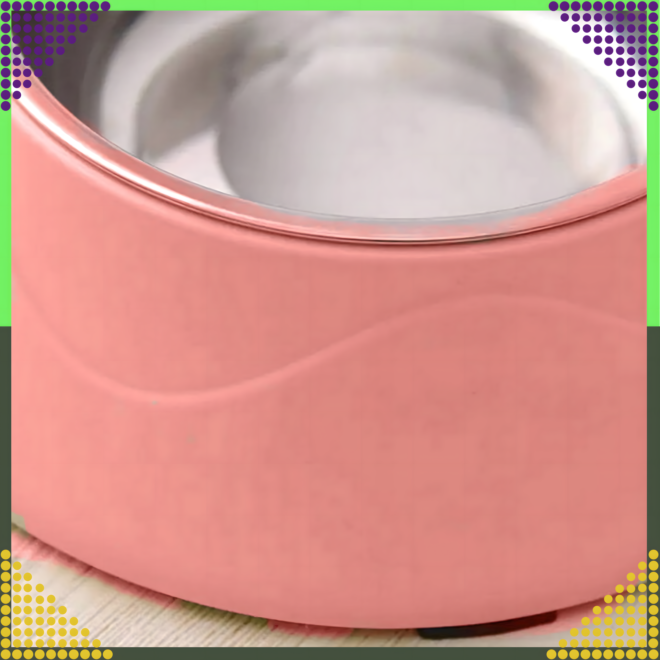 Podwójna Miska dla Psa Kota Metalowa 2w1 na Karmę Suchą Mokrą i Wodę - obrazek 9