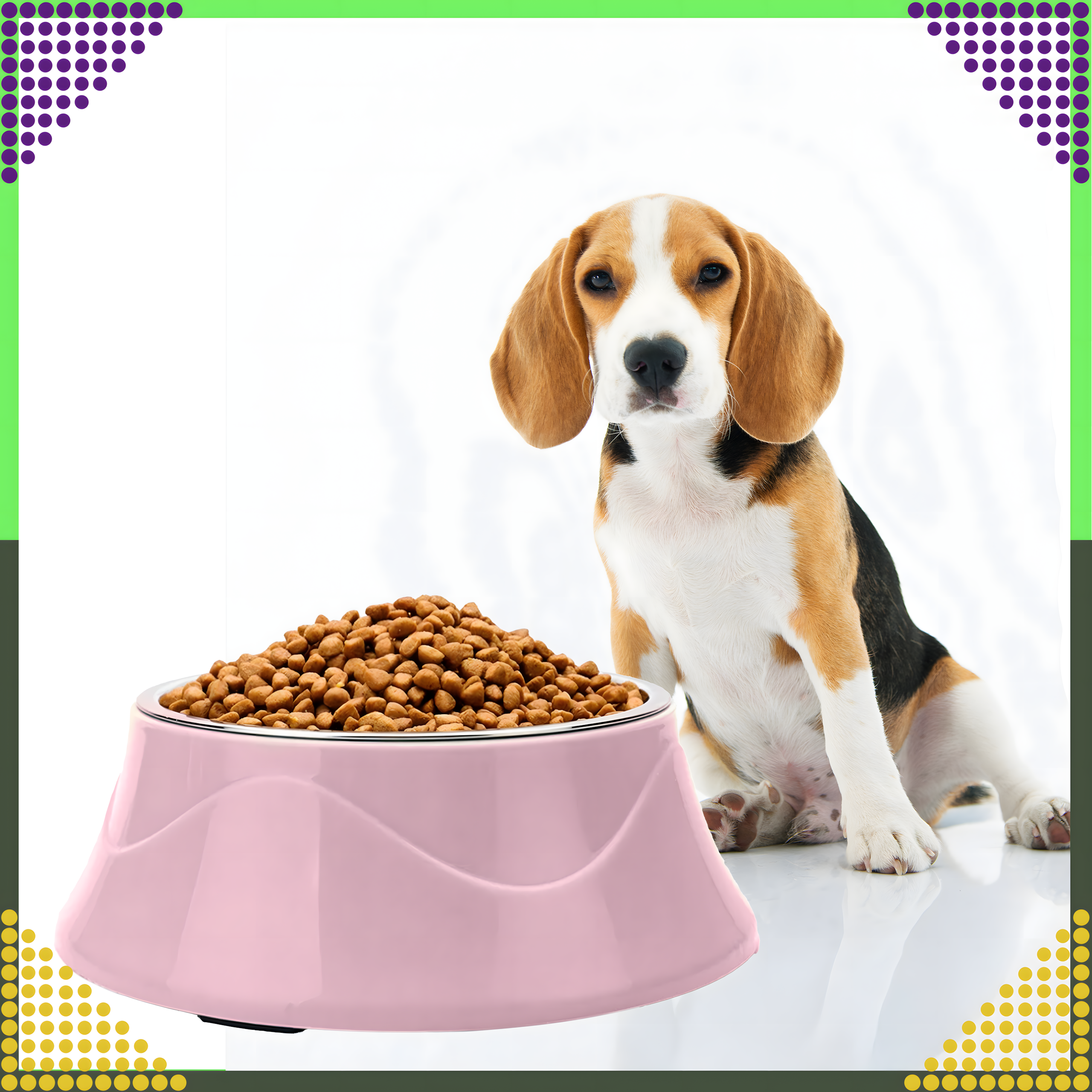 Podwójna Miska dla Psa Kota Metalowa 2w1 na Karmę Suchą Mokrą i Wodę - obrazek 10