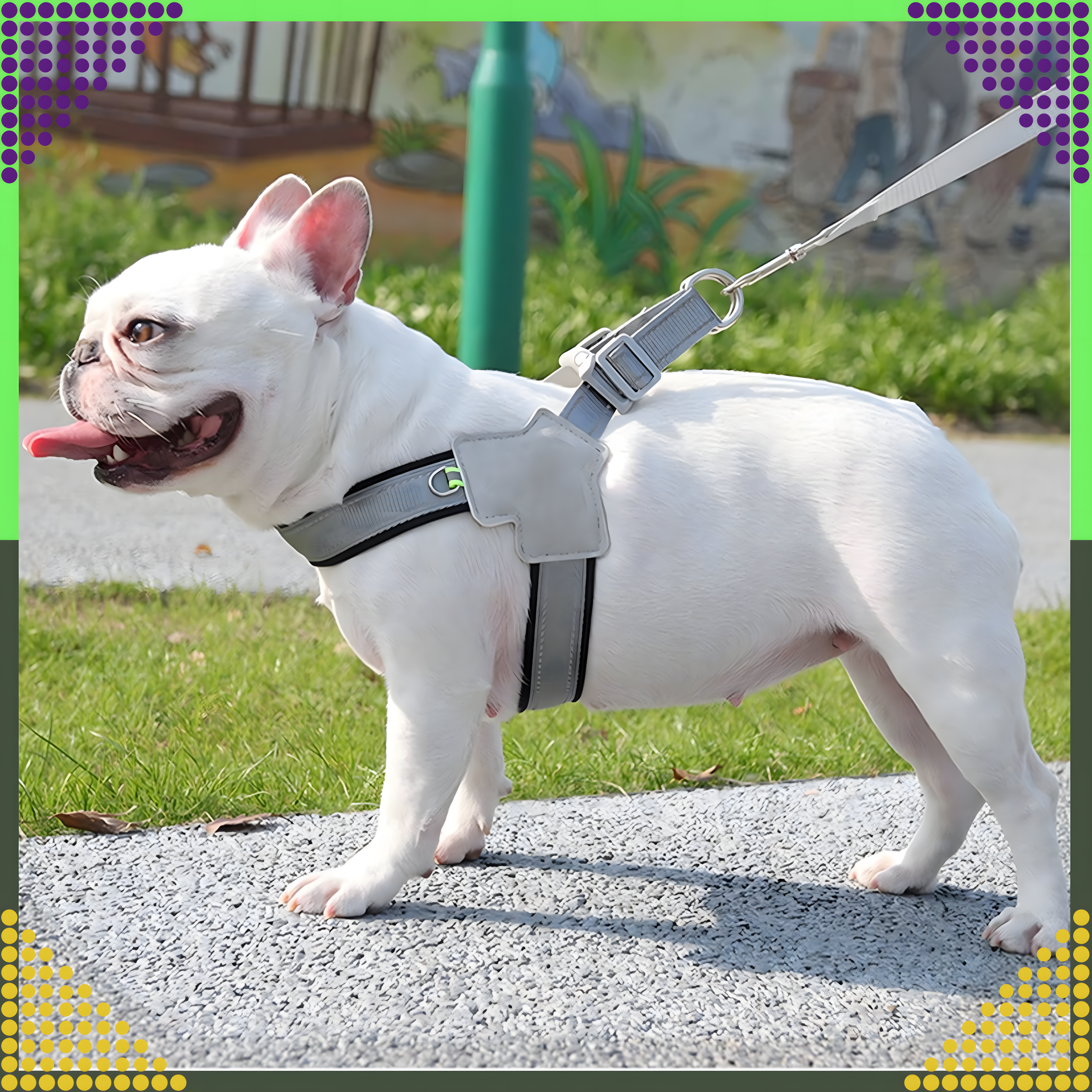 Mocne Szelki Bezuciskowe Smycz dla Małego Psa Kota Wytrzymałem Roz. L - obrazek 6