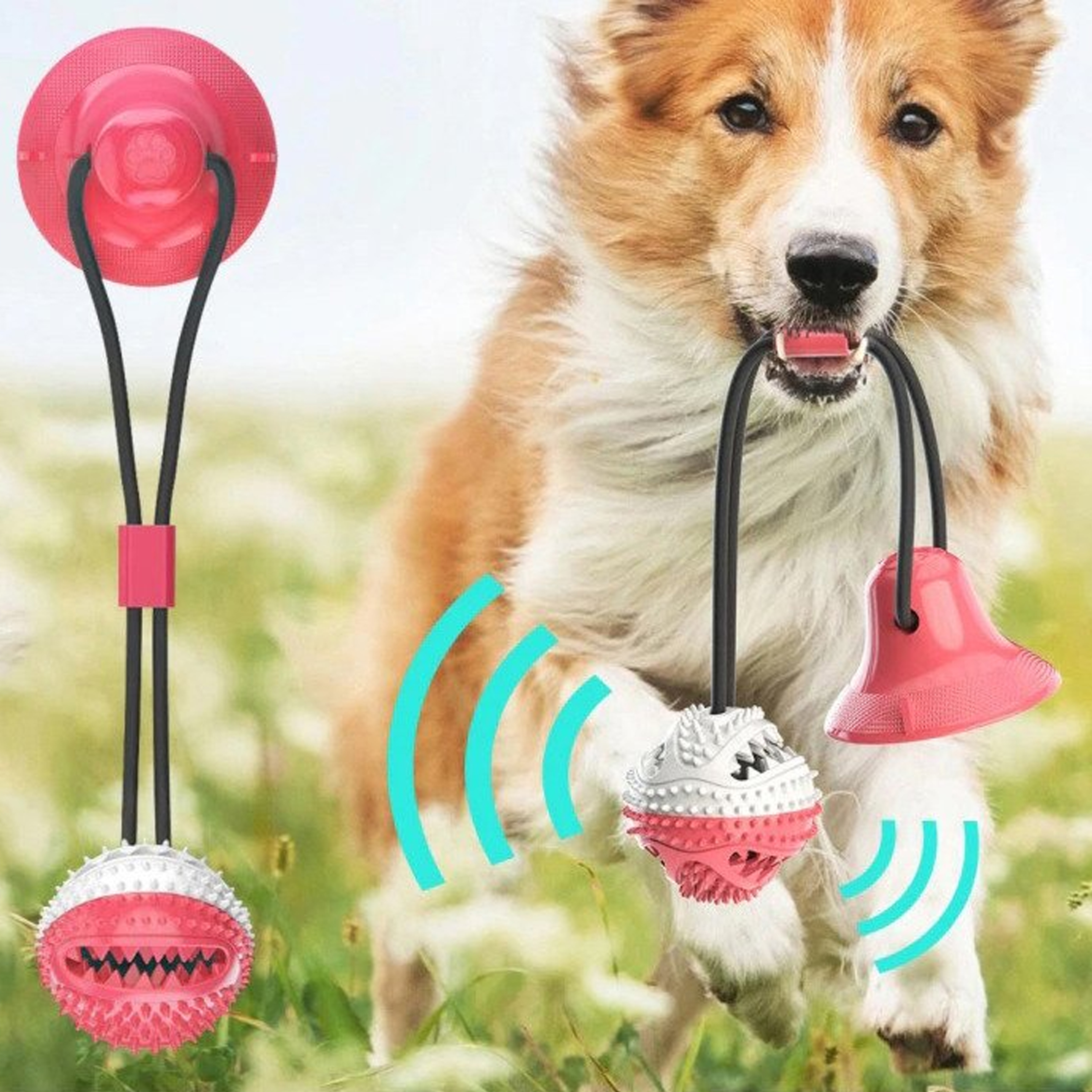 ZABAWKA NA PRZYSMAK KARMĘ INTERAKTYWNA DLA PSA PIŁKA Z PRZYSSAWKĄ GRYZAK - obrazek 7