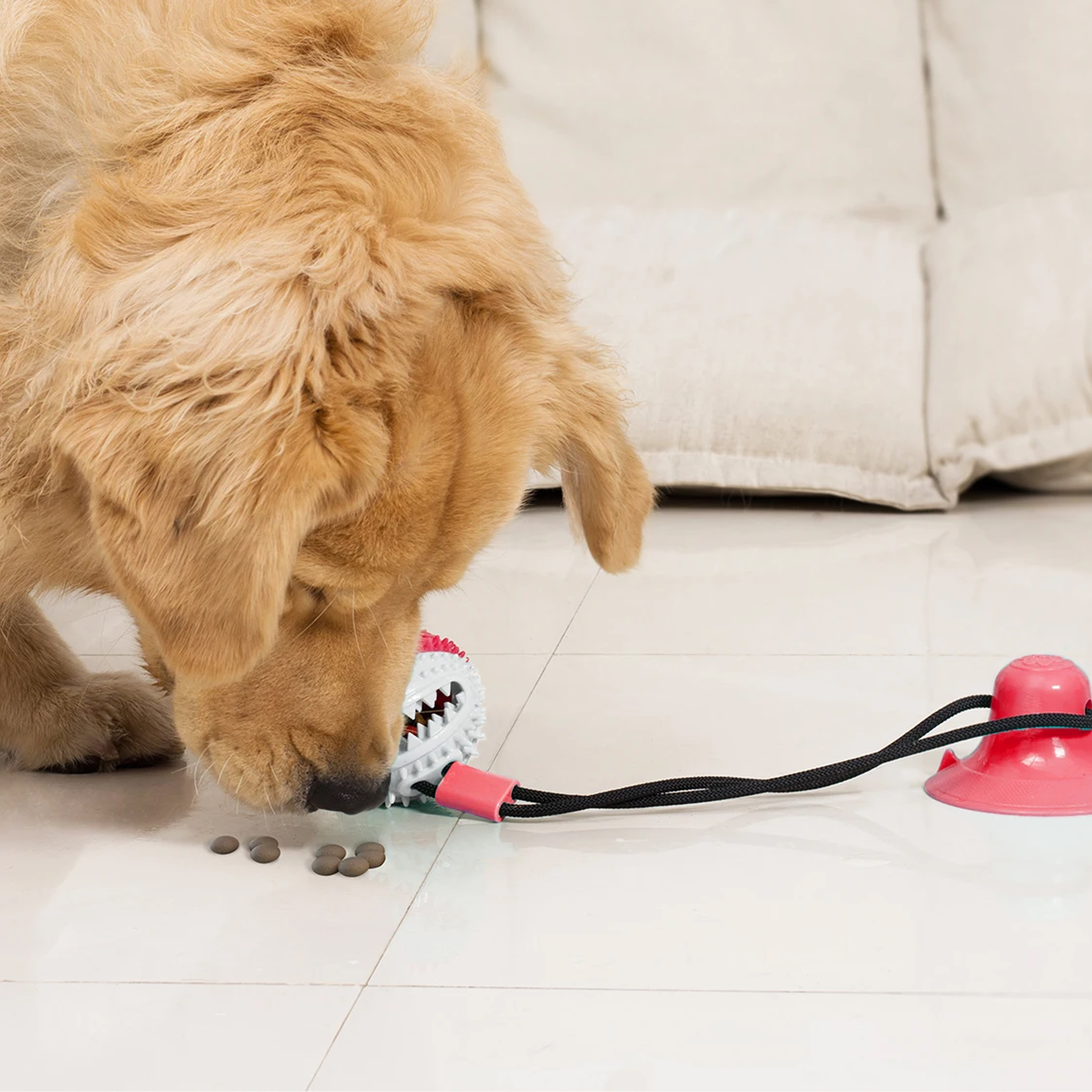 ZABAWKA NA PRZYSMAK KARMĘ INTERAKTYWNA DLA PSA PIŁKA Z PRZYSSAWKĄ GRYZAK - obrazek 11