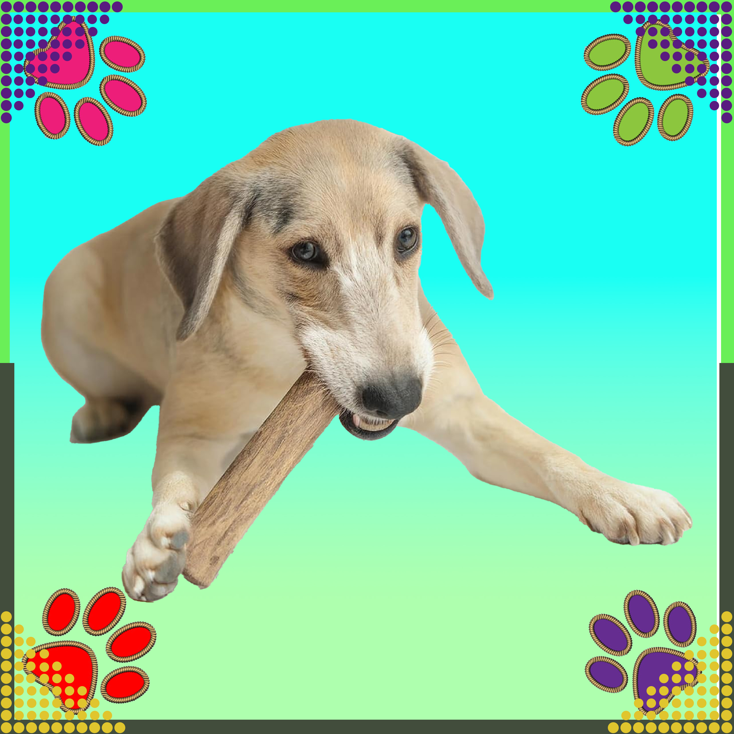 Patyk Gryzak z Drzewa Drewna Naturalny dla Psa Wytrzymały Zabawka 14x1cm - obrazek 7