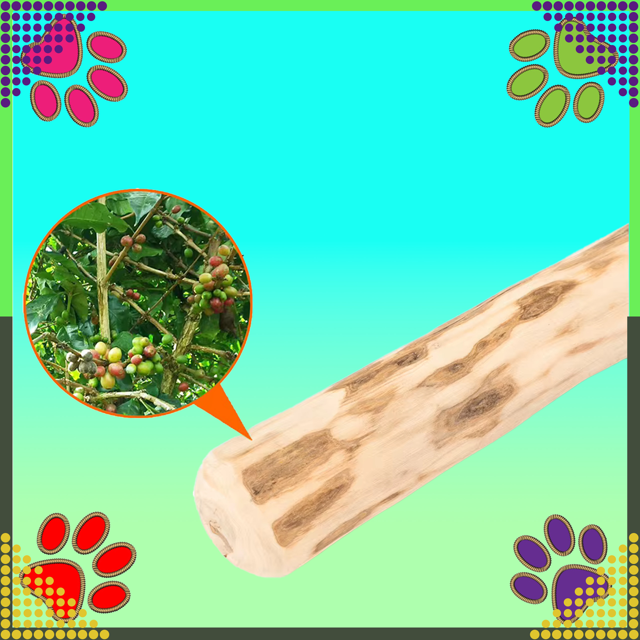 Patyk Gryzak z Drzewa Drewna Naturalny dla Psa Wytrzymały Zabawka 14x1cm - obrazek 8