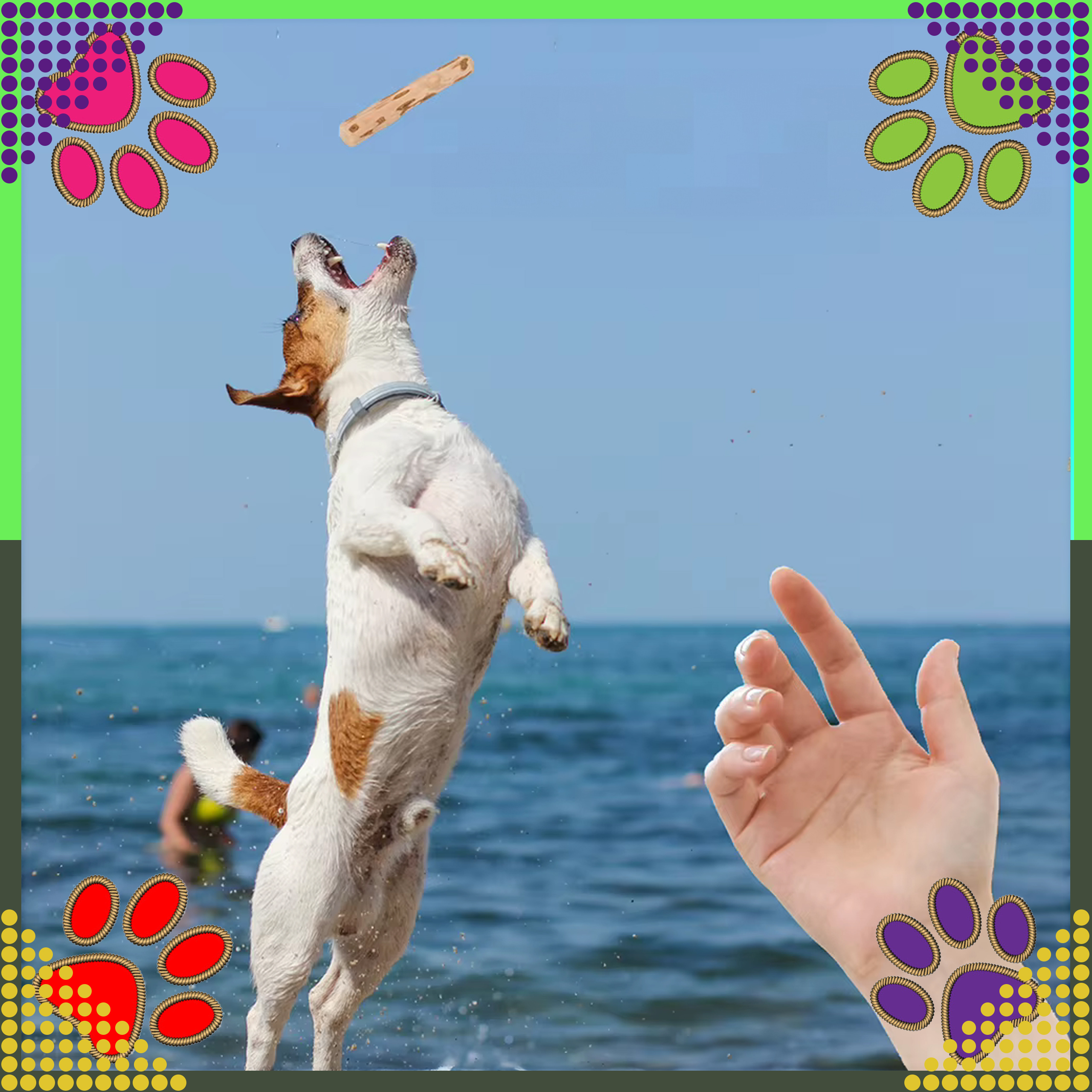 Patyk Gryzak z Drzewa Drewna Naturalny dla Psa Wytrzymały Zabawka 14x1cm - obrazek 10