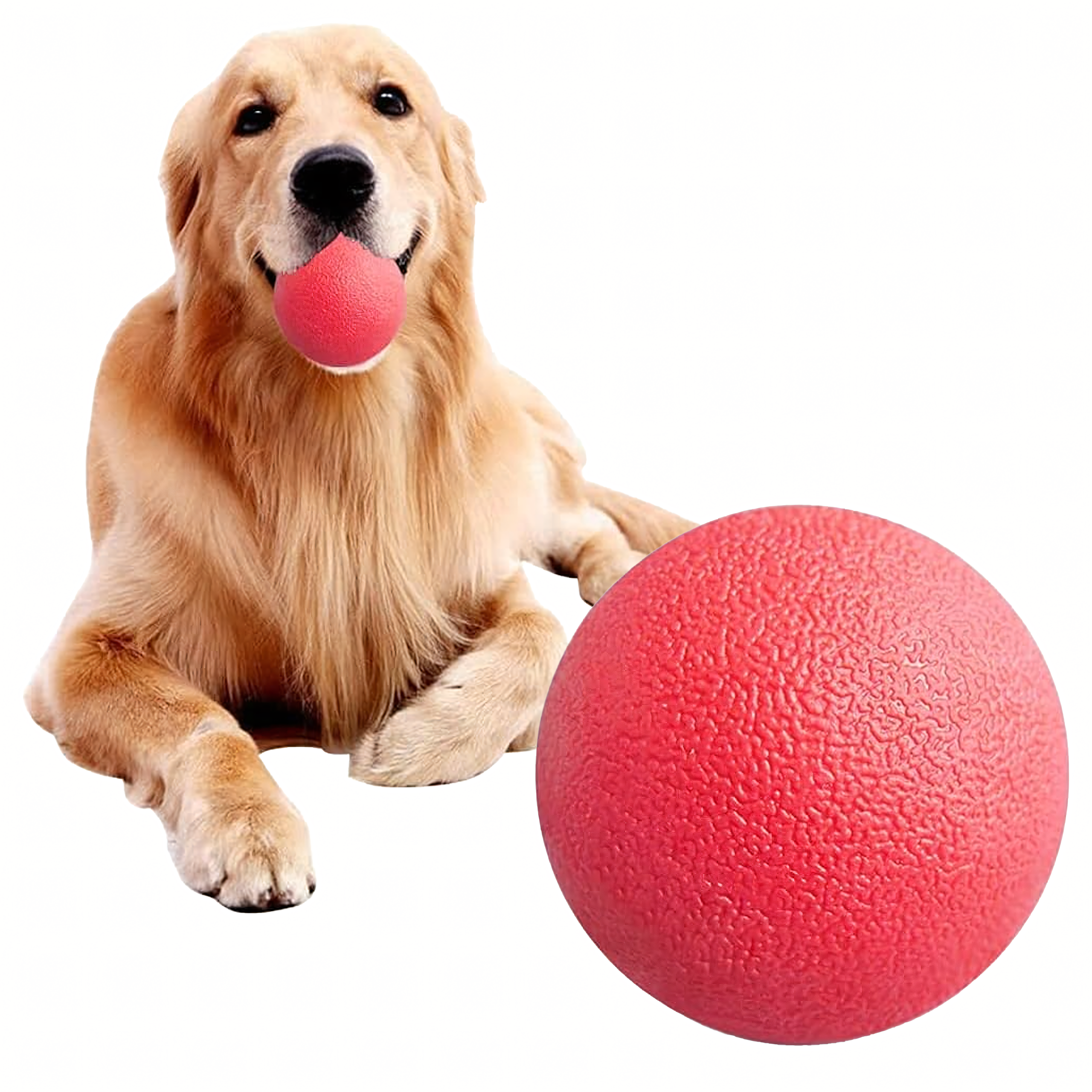 Piłka Zabawka dla Psa Psów Niezniszczalna Lana Wytrzymała do Zabawy 6 cm - obrazek 4