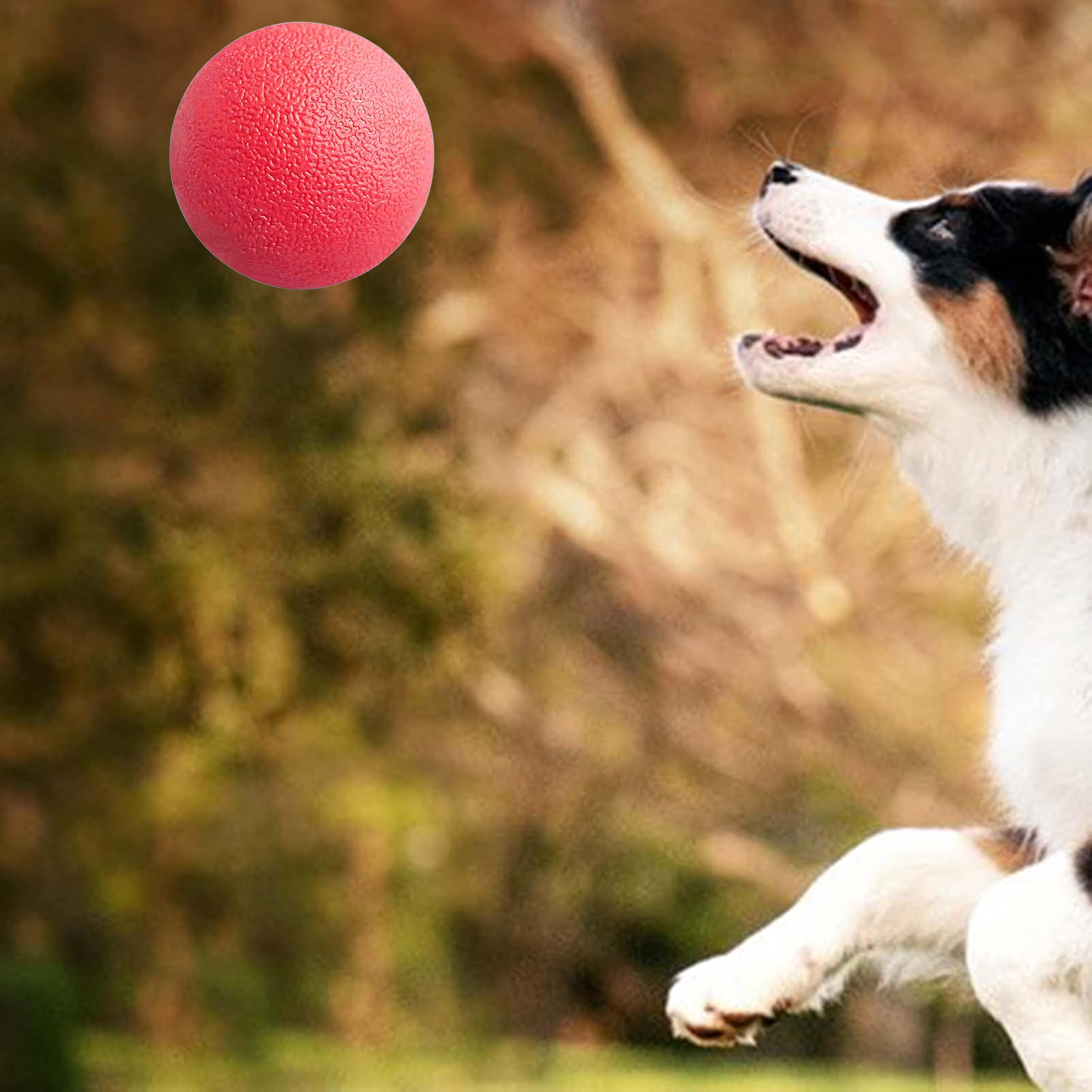 Piłka Zabawka dla Psa Psów Niezniszczalna Lana Wytrzymała do Zabawy 6 cm - obrazek 6