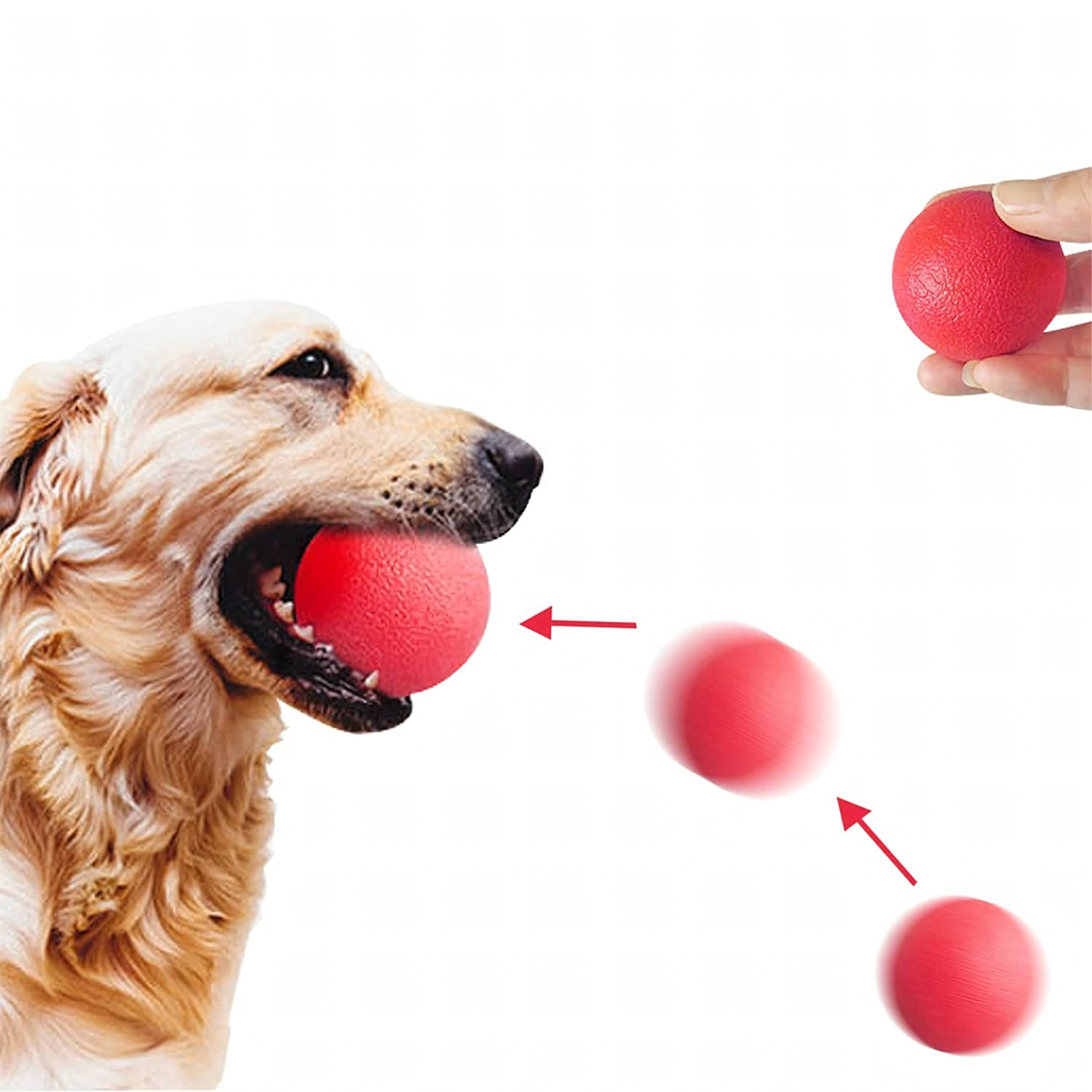 Piłka Zabawka dla Psa Psów Niezniszczalna Lana Wytrzymała do Zabawy 6 cm - obrazek 9