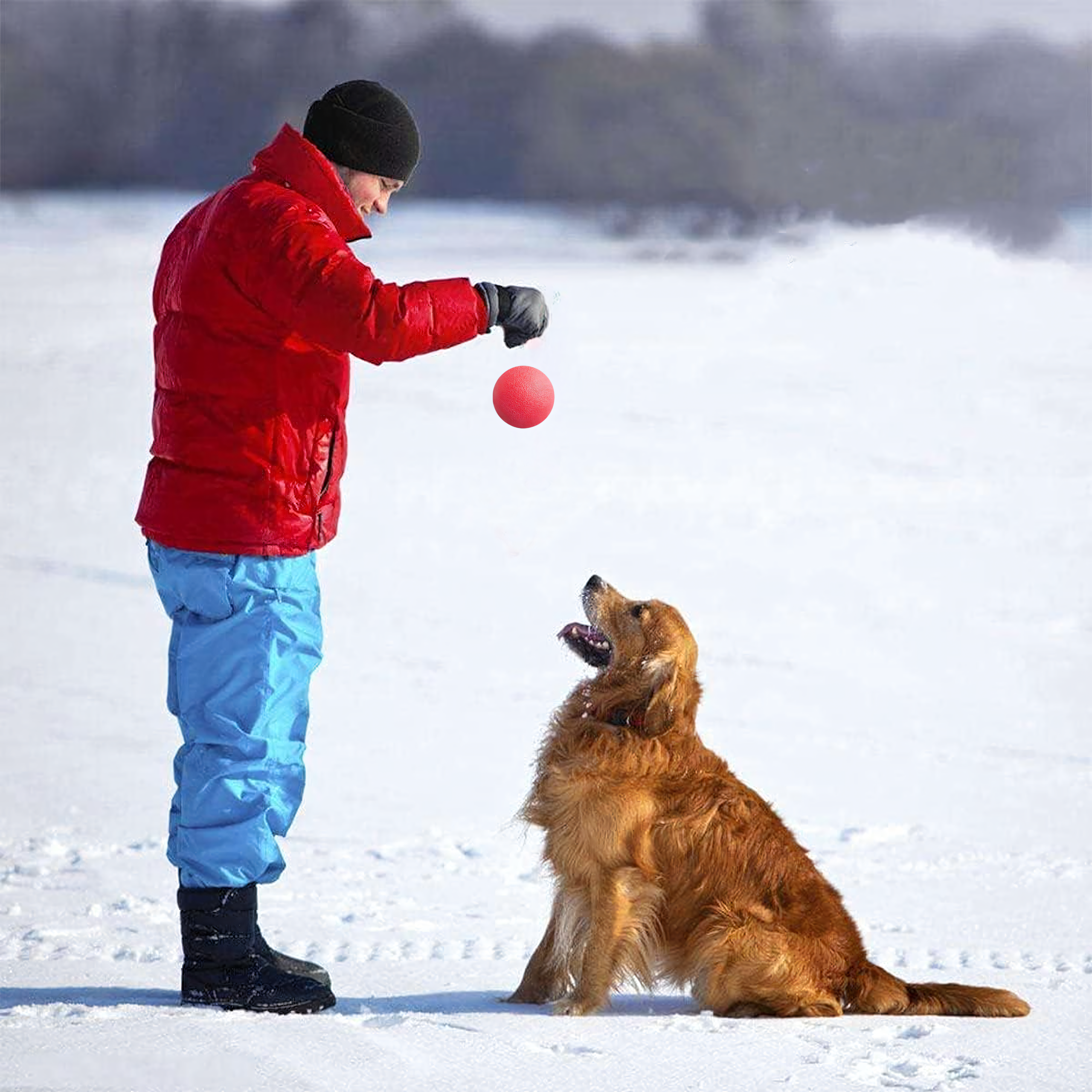 Piłka Zabawka dla Psa Psów Niezniszczalna Lana Wytrzymała do Zabawy 6 cm - obrazek 10