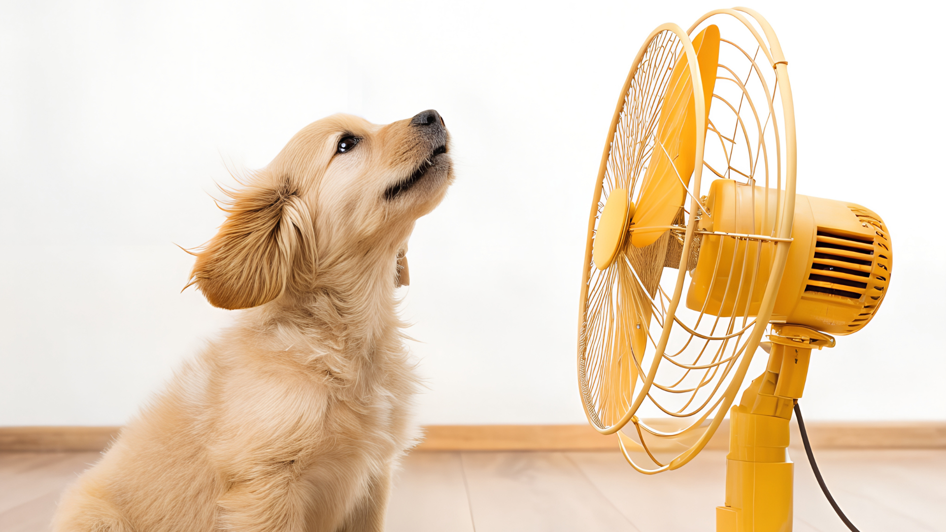 Wentylator stojący z oznaczeniem poziomu dB – miejsce na overlay