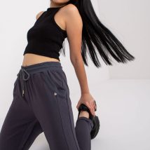 Spodnie dresowe Model RV-DR-7806.32 Grafit – BFG