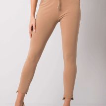 Spodnie Dresowe Model RV-DR-6002.14X Camel – BFG