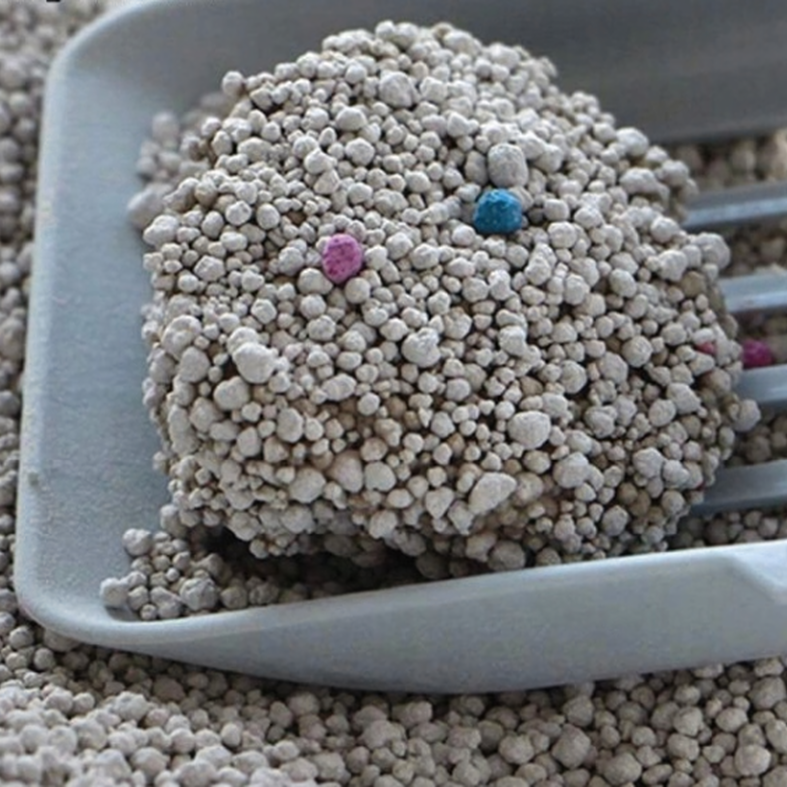 Żwirek Bentonitowy Kota Naturalny 20 kg Zbrylający Bezpyłowy Ultrachłonny - obrazek 4