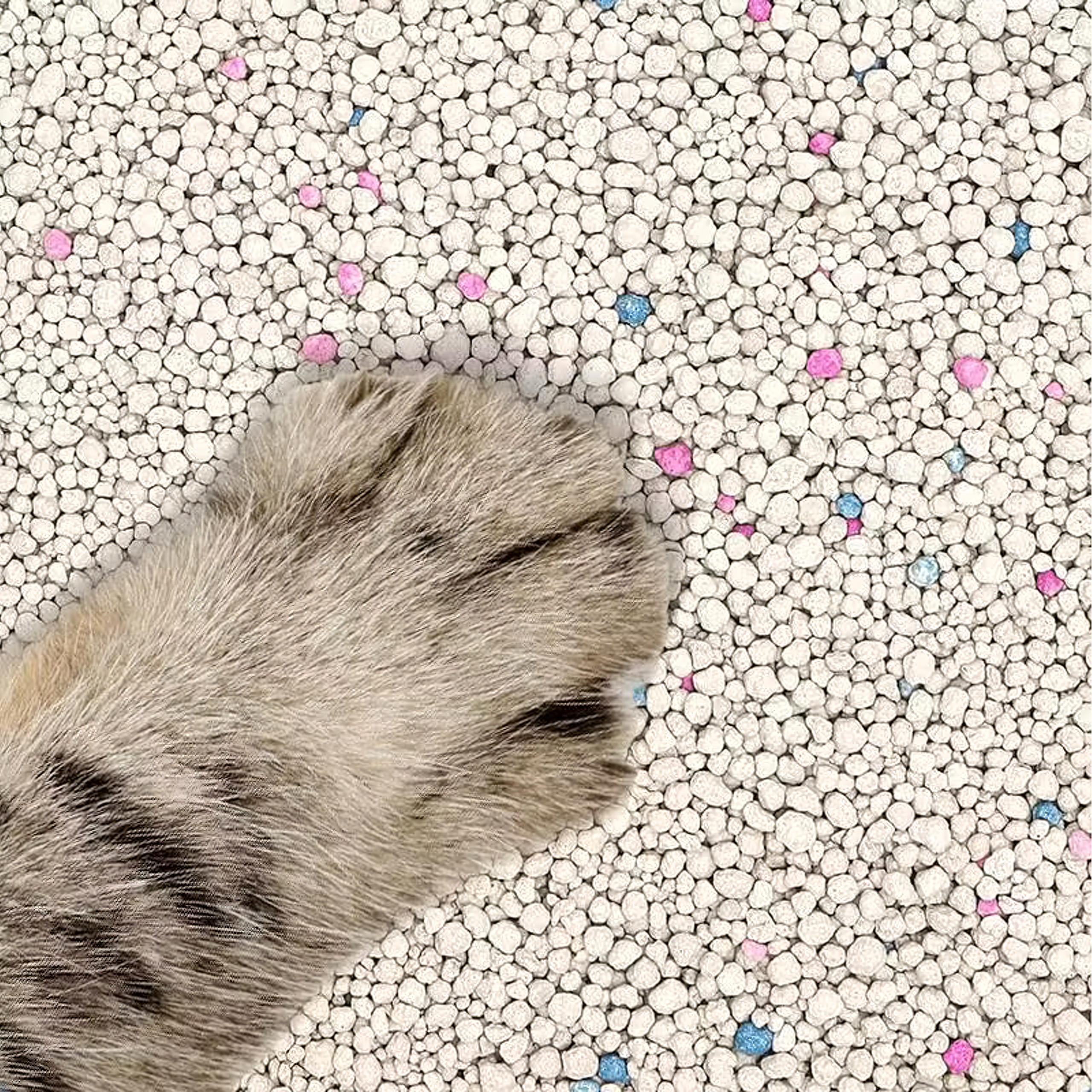 Żwirek Bentonitowy Kota Naturalny 20 kg Zbrylający Bezpyłowy Ultrachłonny - obrazek 7