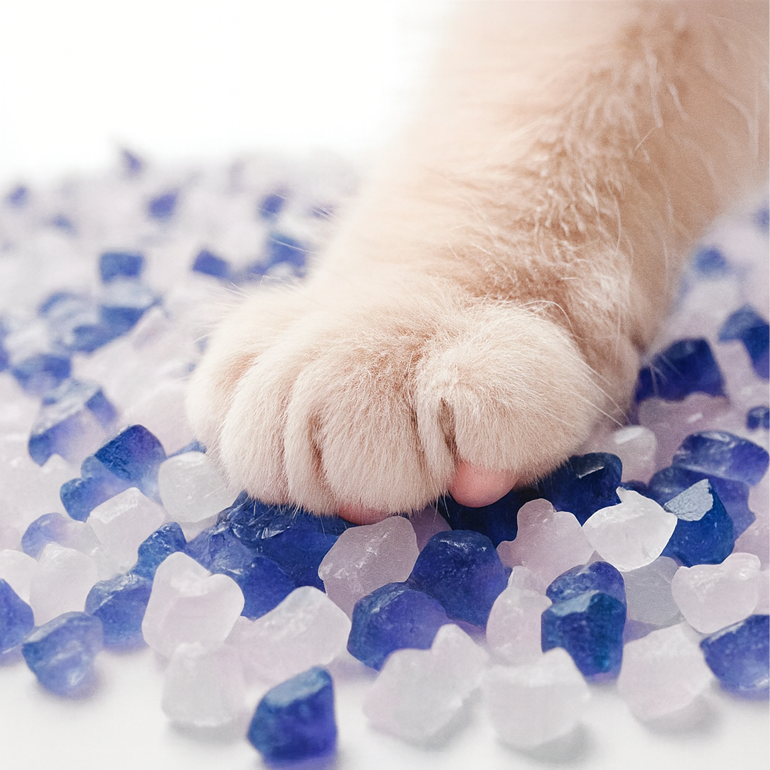 Żwirek Silikonowy dla Kota do Kuwety 1,5 kg Niezbrylający Bezpyłowy Wydajny - obrazek 9