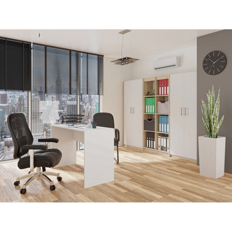 Szafa aktowa OLIV 2D 74x35xH180 sonoma/biały - obrazek 4