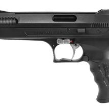 Pistolet BEEMAN P-17 PCA mod 2004/P17 4,5 (2004)