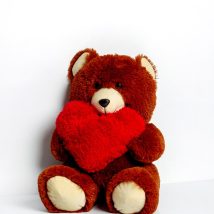 Miś FRANK 50cm brązowy