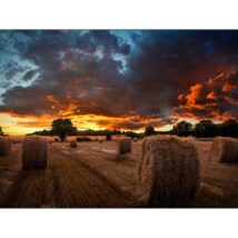 Samsung VM46B-U LCD Wewnętrzna