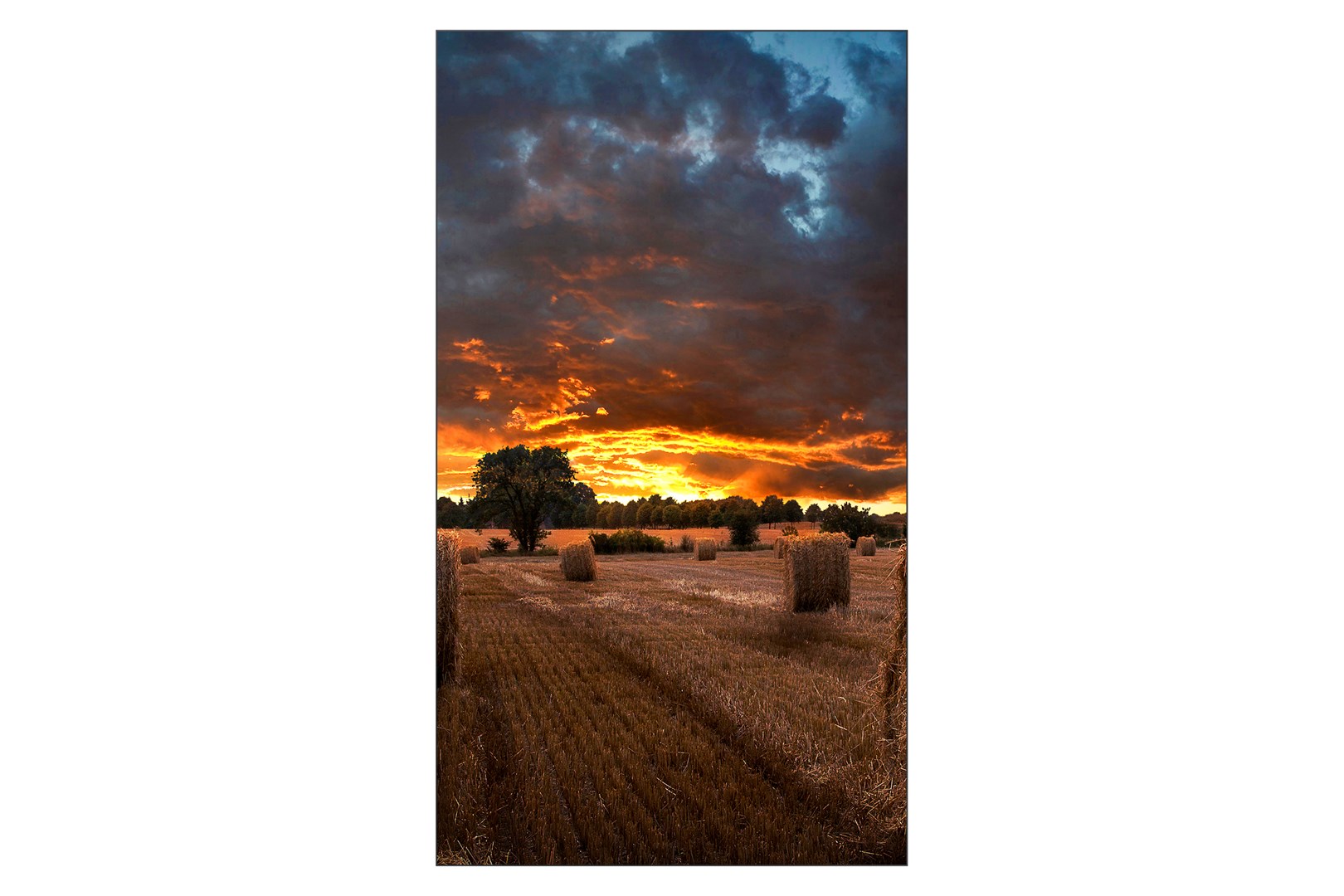 Samsung VM55B-U LED Wewnętrzna - obrazek 3