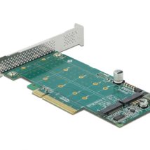 Delock PCI Express x8 Card 2 x internal NVMe M.2 Key M – Bifurcation – storage controller – M.2 NVMe Card – PCIe 4.0 x8