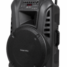 Aktywna kolumna głośnikowa (z 2 mikrofonami bezprzewodowymi UHF, SD, Bluetooth, FM, USB) 60 Watt