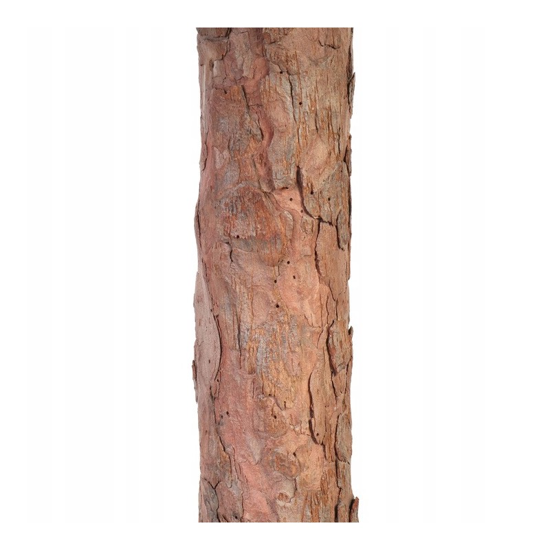 CHOINKA NA PNIU Z SOSNY, SZTUCZNA jak żywa ŚWIERK 180 CM GĘSTA OŚNIEŻONA CHO09 - obrazek 2