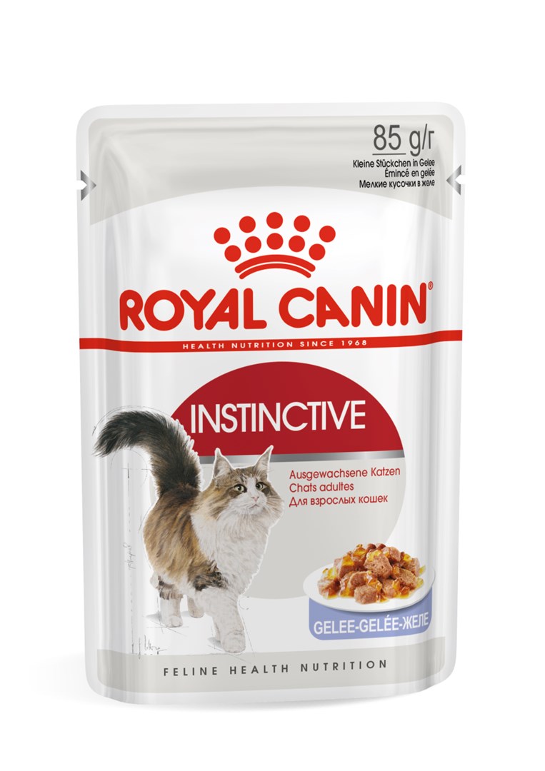 ROYAL CANIN FHN Instinctive w galaretce - mokra karma dla kota dorosłego - 12x85g - obrazek 3