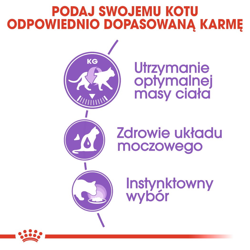 ROYAL CANIN FHN Sterilised w sosie - mokra karma dla kota dorosłego - 12x85g - obrazek 4